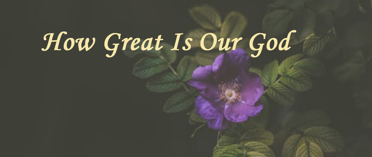 You are currently viewing How Great Is Our God!